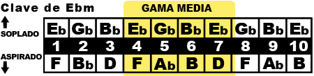 gama media